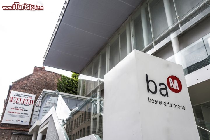Immagine BAM (Beaux Arts Museum), il Museo di Belle Arti di Mons - © Anibal Trejo / Shutterstock.com