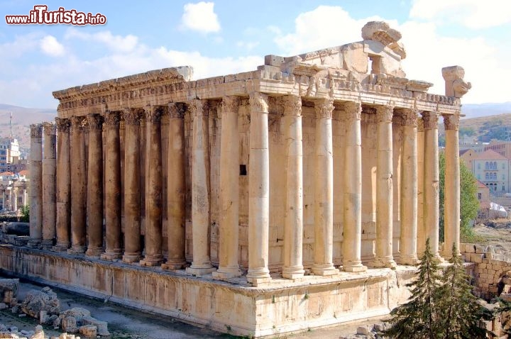 Immagine Baalbek Libano il Tempio di Bacco - Foto Giulio badini www.deserti-viaggilevi.com