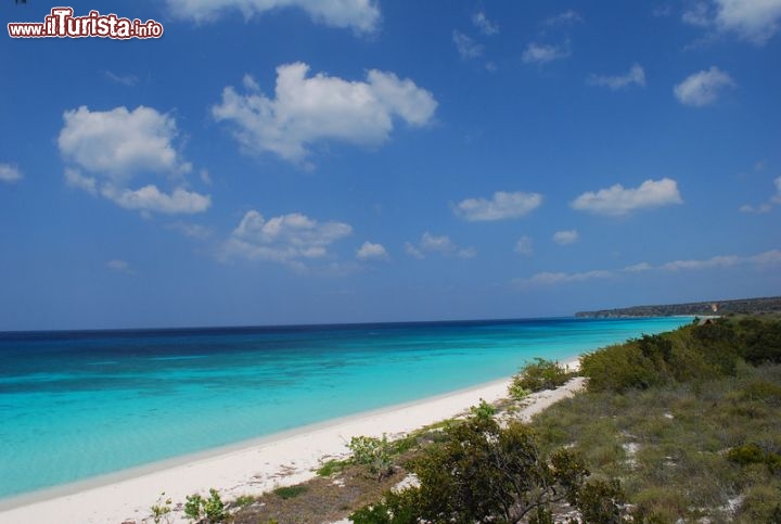 Immagine Bahia de las Aguilas a Barahona, mare turchese e bianco arenile corallino ad ovest di Santo Domingo - © Dominican Repubblic Ministry of Tourism