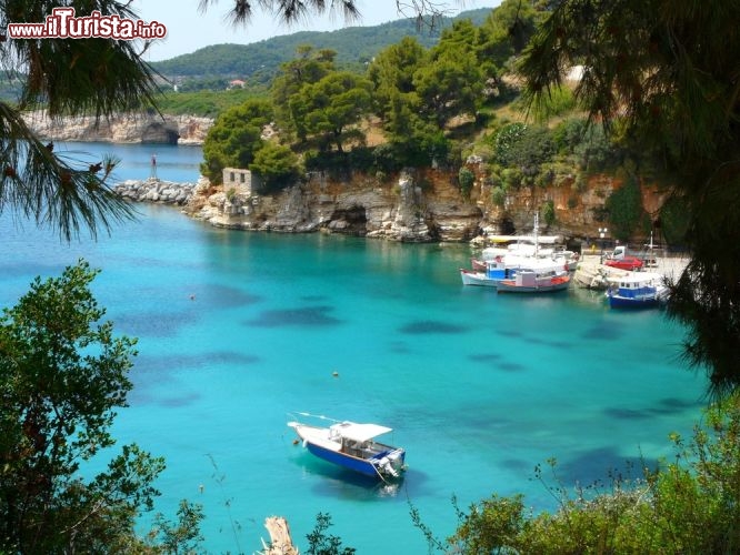 Immagine La Baia di Voisi (Votsi) si trova nell'isola di Alonissos, nell'arcipelago delle Sporadi in Grecia  - © Corina de Kiviet / Shutterstock.com