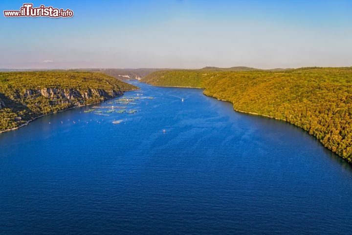 Immagine Baia di Lim, una specie di fiordo vicino a Rovigno, in Istria (Croazia) - © OPIS Zagreb  / Shutterstock.com