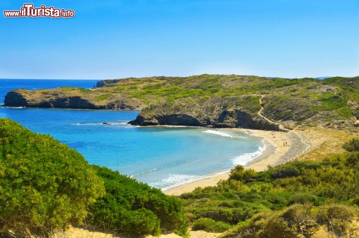 Immagine La Playa d'en Tortuga di Minorca, gioiello delle Isole Baleari, sorge a 17 km circa da Maó (o Mahon), e fa parte dell'Area Naturale d'Interesse Speciale di S'Albufera des Grau. Ha un fondale di sabbia chiara mista a ghiaia, ed è incorniciata dalla macchia mediterranea - © nito / Shutterstock.com
