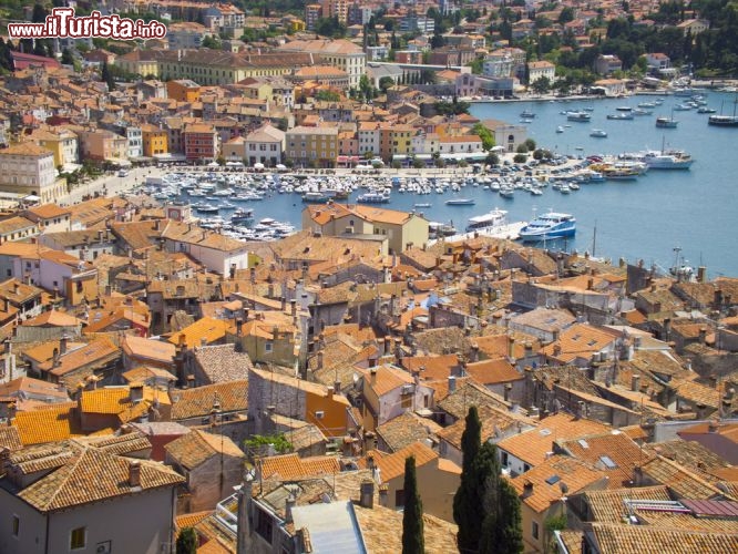 Immagine La baia di Rovigno vista dal centro storico della città veneziana di Rovinj in Istria, Croazia. La foto è stata scattata dal campanile del Duomo di Santa Eufemia, al centro dell'isola - © Kiev.Victor / Shutterstock.com