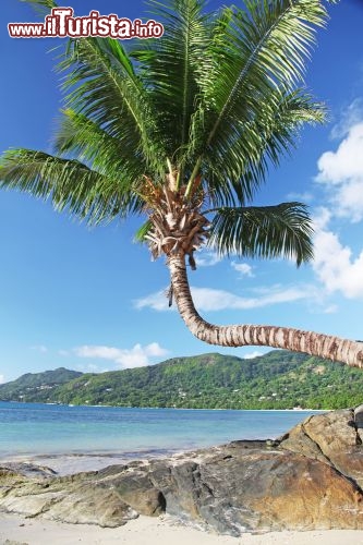 Immagine Baia di beau Vallon Seychelles - © SueC / Shutterstock.com