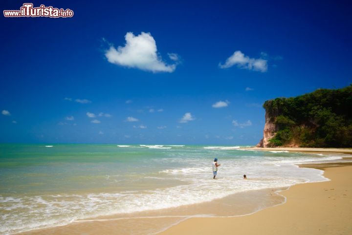 Immagine La magia della Baia dos Golfinhos vicino a Natal, costa atlantica del Brasile - © Eric Gevaert / Shutterstock.com