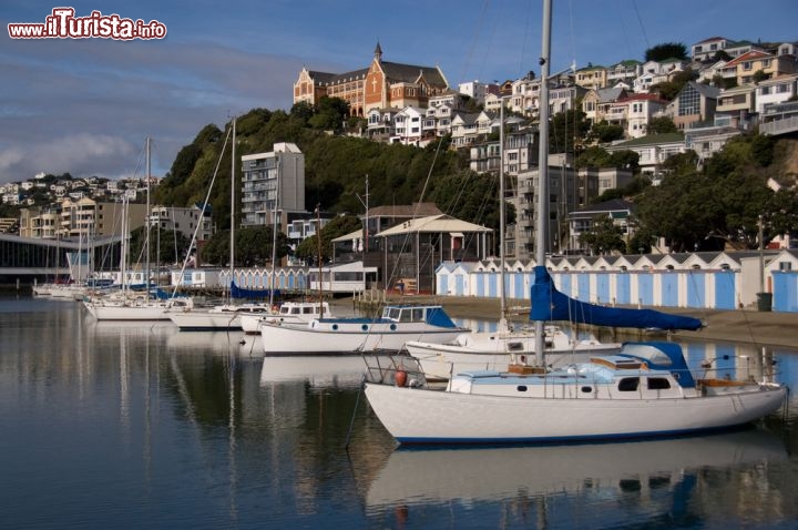 Immagine La Baia di Wellington, Nuova Zelanda, e le sue barche a vela ormeggiate. Sullo sfondo il Monte Victoria, con una miriade di case dai tetti a punta e la chiesa e monsatero di St.Gerard - © Dave Greenberg / Shutterstock.com