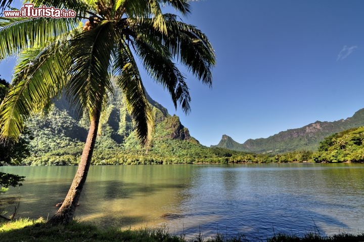 Immagine Baia nell'isola di Moorea, in Polinesia Francese