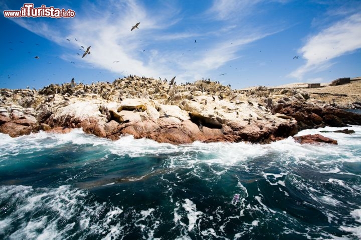 Immagine Ballestas: le isole al largo di Paracas si trovano nel Perù del sud - © Edyta Pawlowska / Shutterstock.com