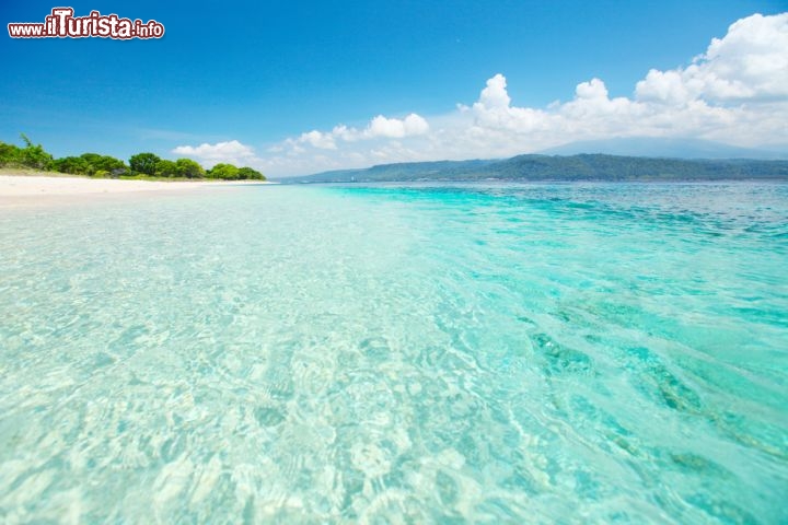 Immagine Barat National Park: questa magnifica spiaggia si trova nel parco nazionale di West Bali (Bali Barat) sulla punta occidentale dell'isola di Bali in Indonesia. Il parco si estende su di una superficie di 158 chilometri quadrati, pari a circa il 5% dell'isola. Oltre ad avere magnifiche spiagge tropicali, il parco include al su centro quattro vulcani estinti di cui il più grande, il Gurung Patas raggiunge i 1412 metri di altezza. Il parco è fomoso per il suo grande numero di specie avicole, circa 160 divrsi tipi, molto apprezzati dagli appassionati di birdwatching - © Dudarev Mikhail / Shutterstock.com