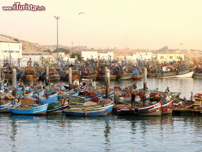 Immagine Barche di pescatori s'affollano nel porto di Agadir,  Marocco centro-meridionale - © Socrates / Shutterstock.com