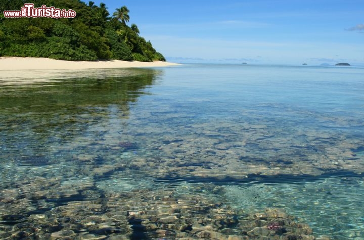 Immagine Barriera corallina dell'isola di Euakafa una delle 163 isole dell'arcipelago di Tonga - © Mari Anuhea / Shutterstock.com