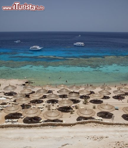 Immagine Barriera corallina e bella spiaggia a Sharm el Sheikh, lungo la costa del Mar Rosso che bagna la penisola del Sinai in Egitto - © Johan_R / Shutterstock.com
