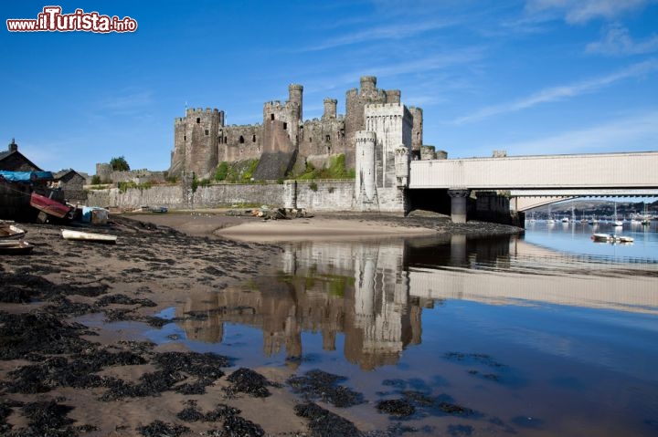 Immagine Bassa marea nel fiume Conwy in Galles: il paesaggio qui è dominato dal grande Castello medievale (Conway Castle)  - © Gail Johnson / Shutterstock.com