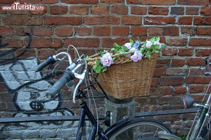 Immagine Bicicletta in Oland: un cestino ricolmo di fiori a Groningen (Paesi bassi)