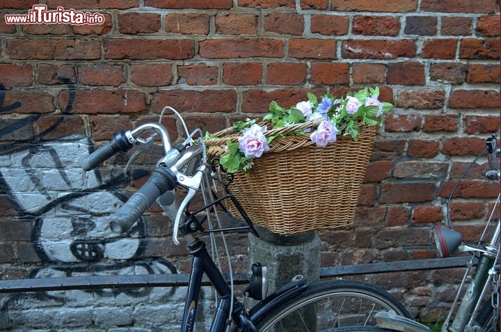 Immagine Bicicletta in Oland: un cestino ricolmo di fiori a Groningen (Paesi bassi)