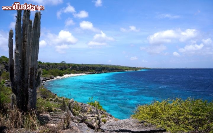 Immagine Bonaire e il mare limpido delle Antille Olandesi - © Isabelle Kuehn / Shutterstock.com