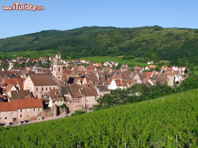 Immagine Borgo di Riquewihr, Alsazia - Piccola e con appena 1200 abitanti, Riquewihr è una città a misura di bambola. Circondato da altre famose località francesi fra cui Colmar, questo borgo medievale affascina da sempre i turisti non solo per la sua particolare urbanistica con case a graticcio ma anche per i vigneti che ne ricoprono i dolci declivi e che ne fanno uno dei luoghi più rinomati per la produzione del riesling. In questa immagine una bella veduta panoramica sulla città abbracciata dal verde dei boschi © Walid Nohra / Shutterstock.com