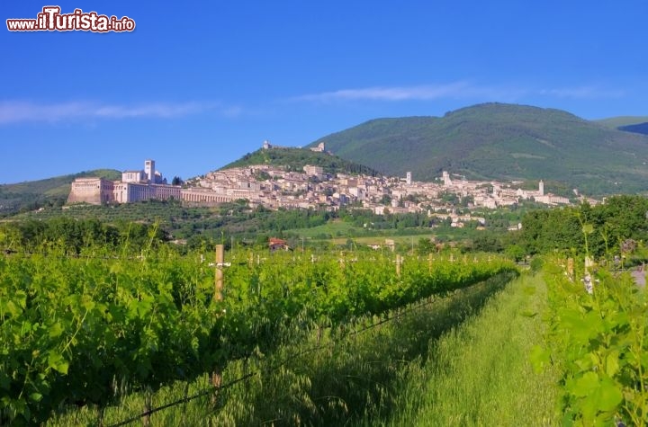 Immagine Panorama sul borgo di Assisi e sul monte Subasio. Nell'Appennino umbro marchigiano si eleva per 1.290 metri questo rilievo montuoso sulle cui pendici occidentali sorgono le città di Assisi e Spello. Sul versante orientato verso la città di San Francesco a 791 metri è situato l'Eremo delle carceri, grotte dove il santo era solito rifugiarsi in meditazione con i suoi compagni. E' nominato da Dante Alighieri nella Divina Commedia, quando si narrano le origini del patrono d'Italia, nell'undicesimo canto del Paradiso - © Angelo Giampiccolo / Shutterstock.com