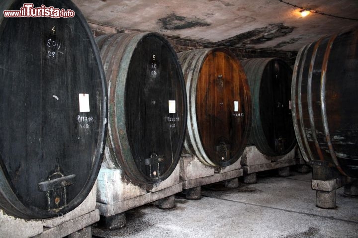Immagine Botti del vino a Randenci, città della Slovenia nord orientale - Foto di Giulio Badini