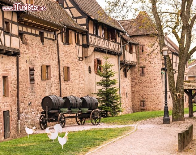 Immagine Botti di vino e palazzi medievali a Riquewihr, Francia - Il binomio vini pregiati e urbanistica medievale rappresenta alla perfezione l'essenza di questo borgo incastonato in Alsazia dove le maisons à colombages e le cantine che producono alcune fra le migliori bevande d'uva al mondo incantano i turisti © Barnes Ian / Shutterstock.com