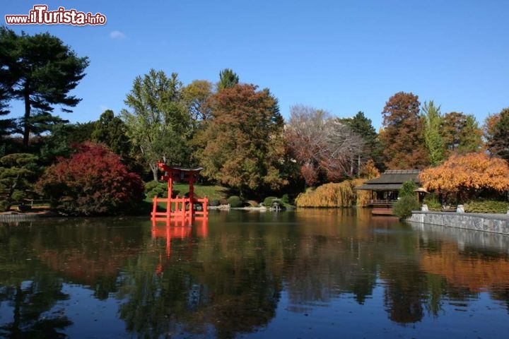 Immagine Brooklyn Botanical Garden di New York, Stati Uniti. Fondato nel 1910, il parco botanico si trova a Prospect Park. In questa immagine è ritratto il giardino giapponese in autunno - © Mike Liu  / Shutterstock.com