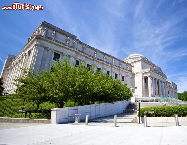 Immagine Brooklyn Museum a New York City, Stati Uniti. Il maestoso edificio che ospita il Brooklyn Museum, il secondo museo d'arte di New York, fra i più grandi d'Europa. Al suo interno ci sono più di un milione e mezzo di oggetti che appartengono dall'arte egiziana a quella contemporanea. Fu fondato nel 1897 da Augustus Graham; ogni anno viene visitato da circa mezzo 500 mila persone 142993453