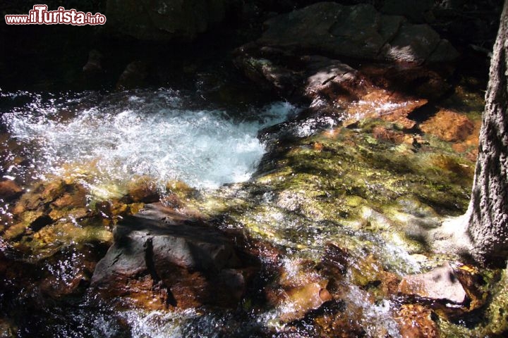 Immagine Buley Rockhole Litchfield National Park, Australia