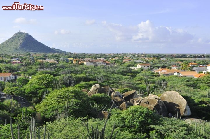 Immagine Cactus fotografati dalla roccia di Casibari, uno dei punti panoramici di Aruba - © meunierd / Shutterstock.com
