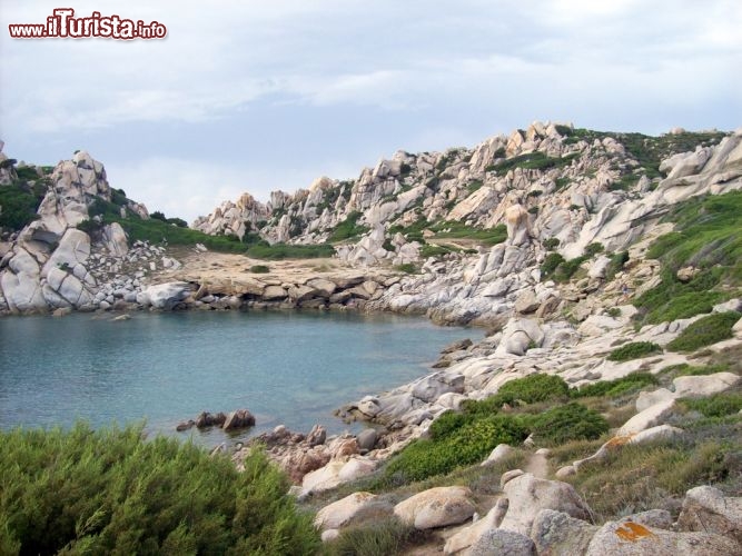 Immagine Cala Santa Reparata, Sardegna - Spiaggia di sabbia finissima, mare azzurro intenso con venature di verde smeraldo e fondali ricchi di vegetazione e fauna marina. Ecco la baia di Santa Reparata, che deve il suo nome al fatto di non essere esposta ai venti di Levante, incastonata fra scogliere di granito. Per raggiungere questa cala a 4 chilometri da Santa Teresa di Gallura vi è anche un comodo accesso per portatori di disabilità © Luisma Tapia / Shutterstock.com