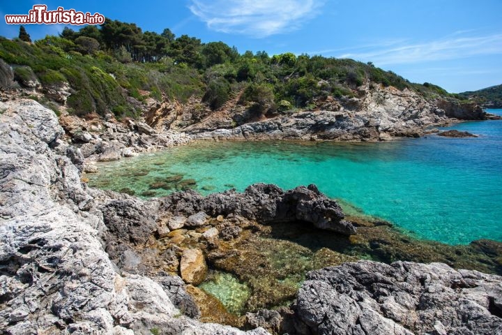 Immagine La cala solitaria della bella spiaggia di Felciaio. Siamo sull'Isola d'Elba in Toscana - © Roberto Ridi