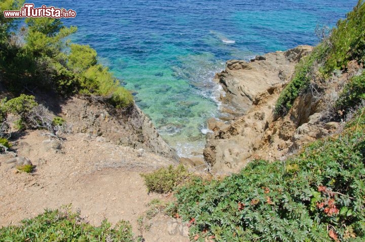 Immagine Caletta solitaria dell'Isola di Porquerolles, Francia - © SWeskerbe / shutterstock.com