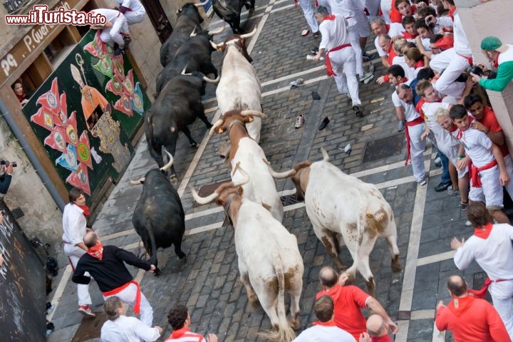 Immagine Calle Estafeta, a Pamplona (Spagna), è una delle strade protagoniste della Festa di San Firmino, la celebrazione del patrono navarrese conosciuta in tutto il mondo per l'adrenalinica corsa dei tori che si ripete di anno in anno, ogni mattina, dal 7 al 14 luglio. L'usanza ha origine nel medioevo, ma da allora, attraverso i secoli, si è arricchita di nuovi elementi religiosi e pagani, sino a raggiungere le caratteristiche goliardiche di oggi  - © Migel / Shutterstock.com