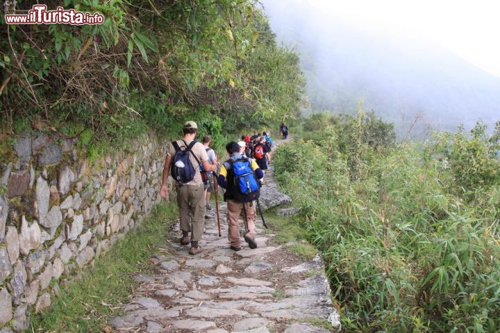 Immagine Camminando sul sentiero dell'Inca Trail, Perù - Salite ripide e passi di montagna ma anche percorsi in piano da intervallare gli uni agli altri. E poi paesaggi che variano in continuazione con zone asciutte e alte e altre invece fatte di una ricca vegetazione. Per chi si avventura alla scoperta del Cammino Inca, uno dei più famosi trekking del mondo, raggiungere Machu Picchu sarà ancora più emozionante - © Thomas Barrat / Shutterstock.com