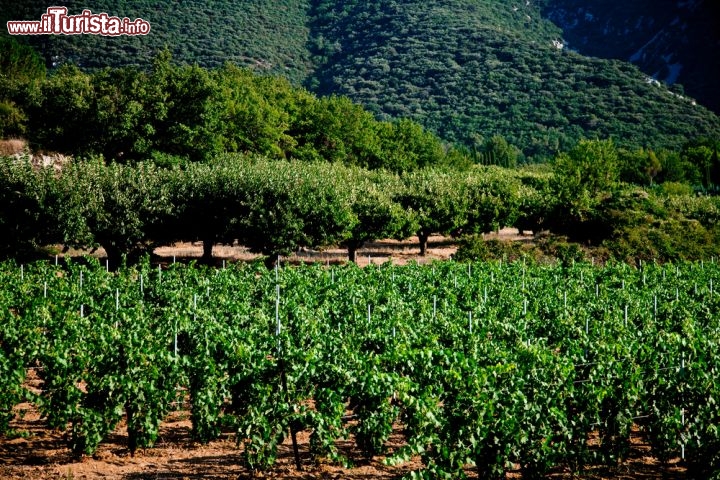 Apt Francia Un Antica Cittadina Provenzale Nel Luberon Cosa Vedere