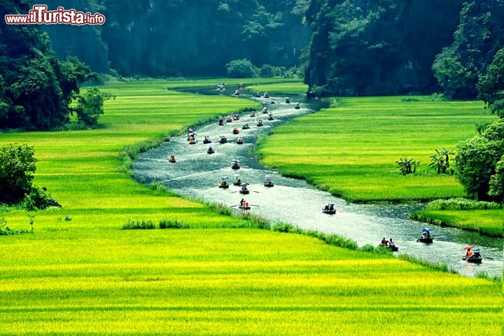 Immagine Campi di riso a Tam Coc, Ninh Binh, Vietnam: questa fotro rende al meglio l'idea di cosa significhi visitare Tam Coc. La lenta processione delle imbarcazioni lungo il fiume Ngo Dong compie il suo percorso nella valle fino a giungere alle grotte - Foto © John Bill / Shutterstock.com