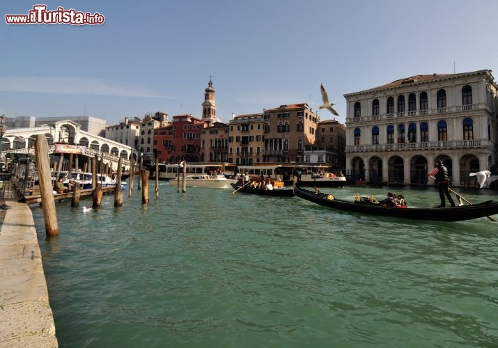 Immagine Canal Grande a Venezia, in lontananza il Ponte di Rialto