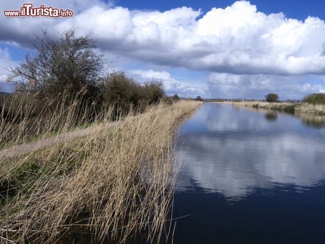 Immagine Scorcio panoramico sul canale del Devon, a sud di Exeter - A due ore e mezza da Londra, questa località del Devon offre agli amanti della natura una campagna bellissima, foreste e nelle vicinanze la riserva di Dunsford con i suoi sentieri panoramici che corrono lungo il fiume © Erni / Shutterstock.com