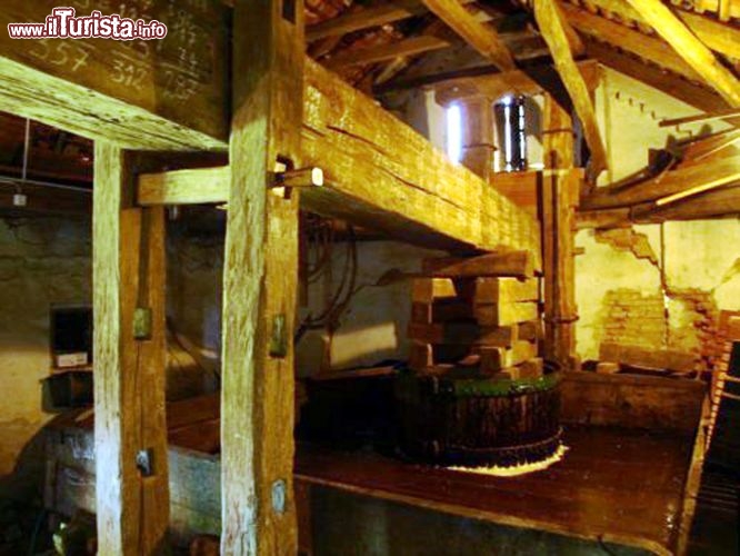 Immagine Una cantina di Radenci con all'interno il torchio per il vino, Slovenia - Foto di Giulio Badini