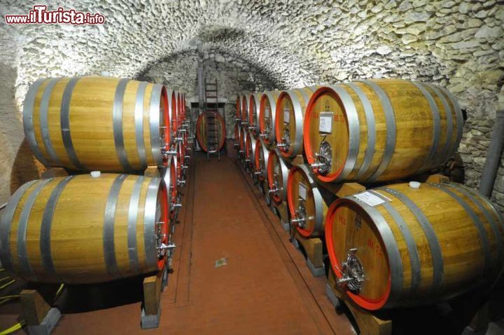 Immagine Le botti della cantina nella storica Casa Vinicola Nino Negri a Chiuro in Valtellina