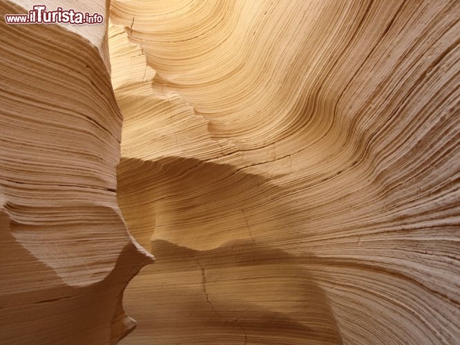 Immagine Canyon tra le rocce del Sinai, dintorni di Sharm el Sheikh Egitto. Spesso vengono organizzate escursioni nell'interno della Penisola del Sinai, che rpevedono tour tra i vari canyon della zona, la visita del Monastero di Santa Caterina, l'ascensione al Monte Sinai per vedere l'Alba, come anche esperienze di vita nel campo tendato beduino, con la contemplazione del cielo stellato mentre si sorseggia un ottimo the alla menta  - © Andres Ello / Shutterstock.com