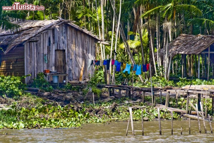 Immagine Capanne lungo il Rio delle Amazzoni nei dintorni di Manaus (Brasile) - © Keith Sherwood / Shutterstock.com