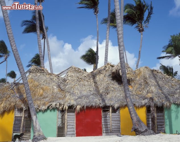 Immagine Capanne coloratea  Punta Cana: siamo lungo la costa est della Repubblica Dominicana - © Radovan / Shutterstock.com