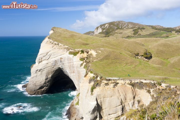 Immagine Cape Farewell la punta più settentrionale dell'Isola del Sud in Nuova Zelanda, regione di Tasman - © ian woolcock / Shutterstock.com