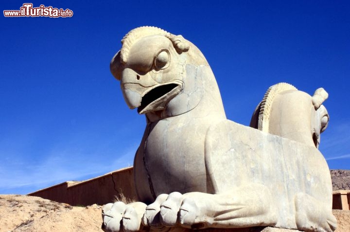 Immagine Capitello a Persepoli lantica città iraniana - Foto di Giulio Badini