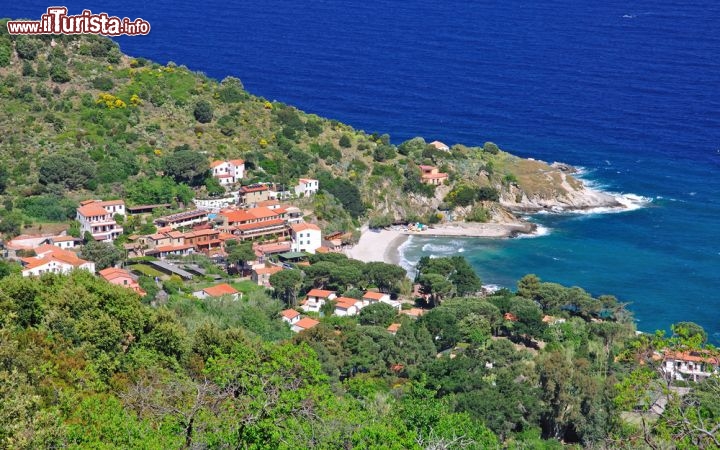 Immagine Capo Sant'Andrea forma un'insenatura paradisica lungo la costa nord-occidentale dell'Isola d'Elba, raggiungibile dalla strada che da Marciana conduce a Marina di Campo e caratterizzata da scogliere granitiche levigate dal mare e dal vento. Frenquentatissimo in estate per le sue belle spiagge, è particolarmente suggestivo e colorato durante la fioritura primaverile - © travelpeter / Shutterstock.com