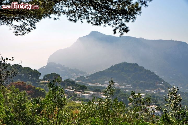 Immagine Capri panorama della citta dalla via Tiberio