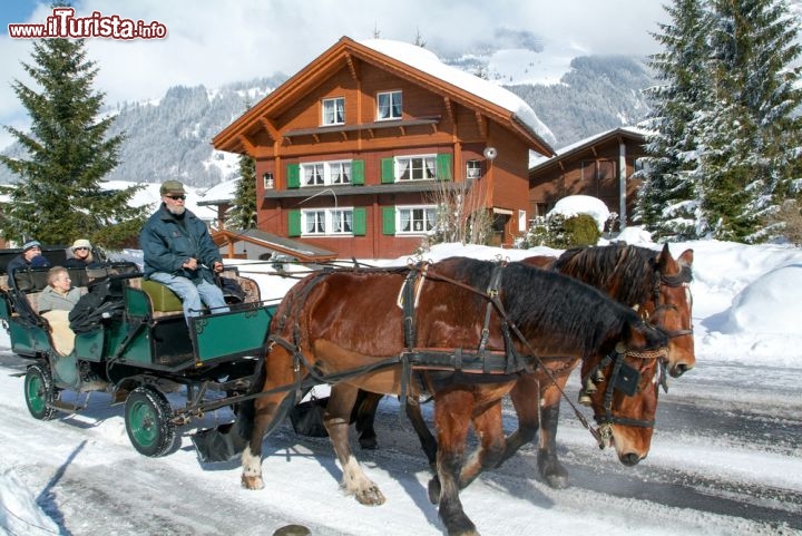 Immagine Passeggiata in calesse a Engelberg, Svizzera - E per chi in montagna a sci e snowboard preferisce passeggiate all'aria aperta? Fra le più caratteristiche ve ne consigliamo una da farsi sui tradizionali calessi trainati dai cavalli. Comodamente seduti e abbracciati dal caldo tepore di una soffice coperta, andrete alla scoperta delle bellezze di questo comune del cantone Obwalden © Stefano Ember / Shutterstock.com