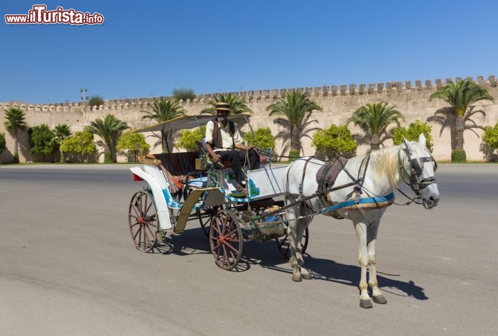 Immagine Carrozza turistica pronta all'escursione lungo le bella mura di Meknes in Marocco - © posztos / Shutterstock.com