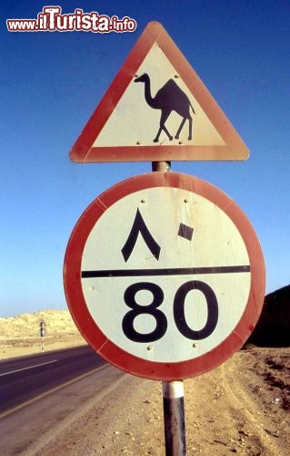 Immagine Cartello stradale nel deserto dell'Oman - Foto di Giulio badini