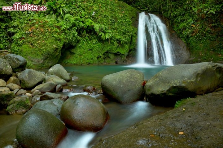 Immagine Cascade aux Ecrevisses isola di Guadalupa (Guadeloupe), nei territori d'oltremare francesi. E' sicuramente una delle cascate più facili da vedere, dato che si cammina per soli 10 minuti dalla zona del parcheggio, grosso modo al centro della Basse Terre. Il sito è dotato di area picnic - © Neil Burton / Shutterstock.com